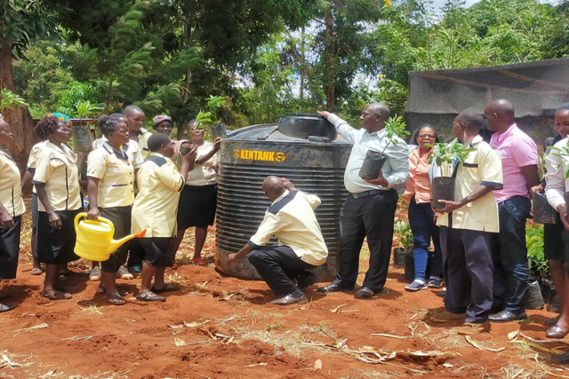 enhancement of global food supply chains