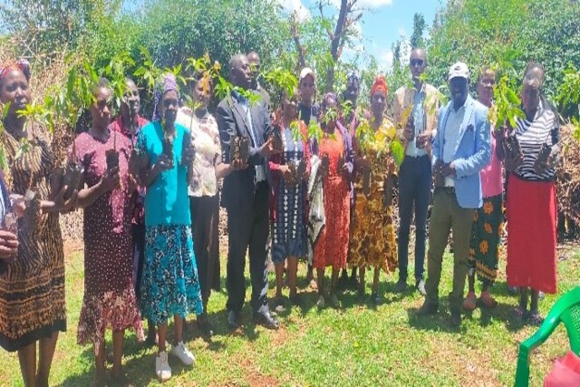 promoting resiliency of the agriculture sector in developing economies in the context of the covid-19 pandemic