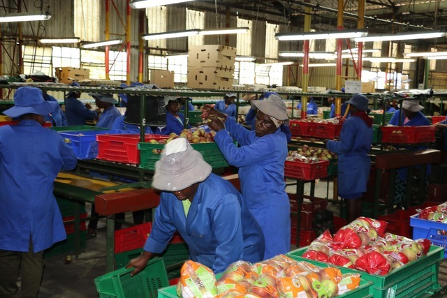 chuka university uplift-ag team participates in the project’s year 2 consortium meeting in zimbabwe